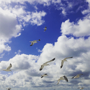 Porträt Michael Domes